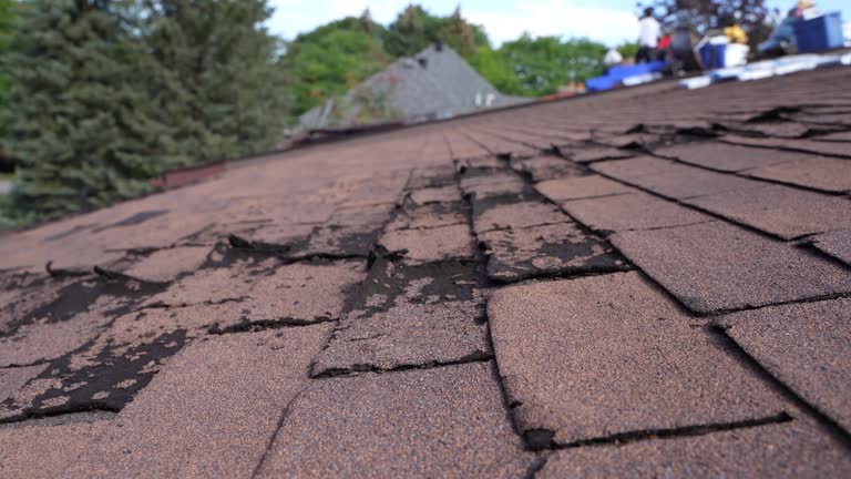 Best 4 Ply Roofing  in Macclenny, FL
